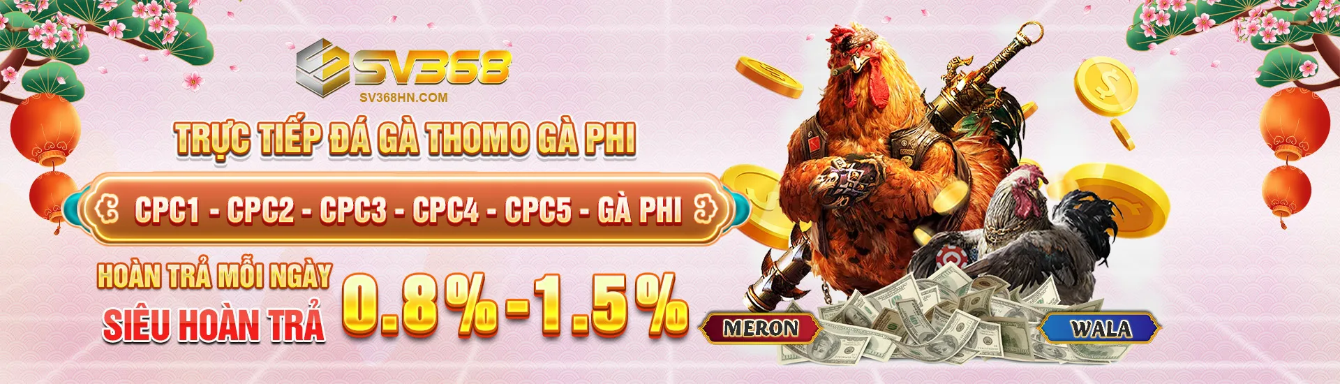 SV368 trực tiếp đá gà Thomo - Philippines
