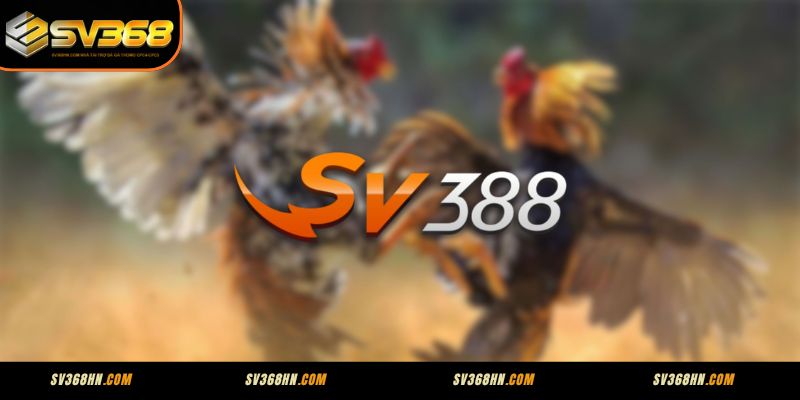 Giới thiệu SV388